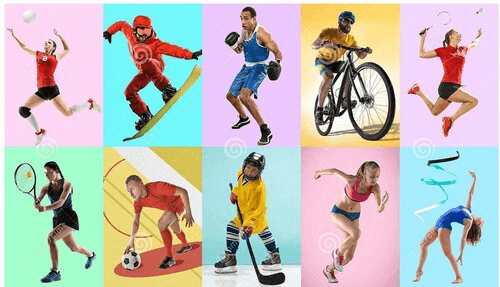 Индивидуальные виды спорта для ставок