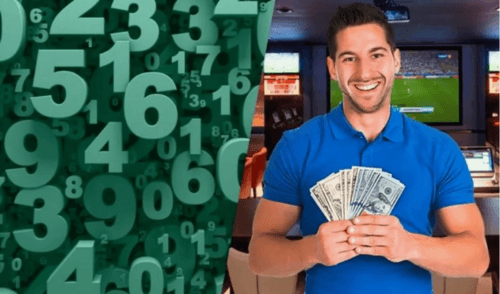 Заработок на ставках